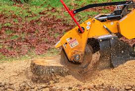 Best Pest Control for Lawns  in Laguna Heights, TX